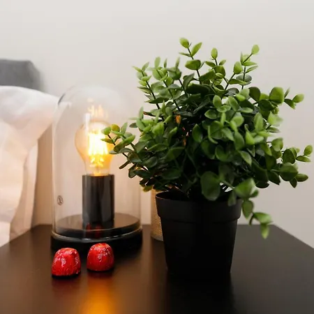 Apartman Elena