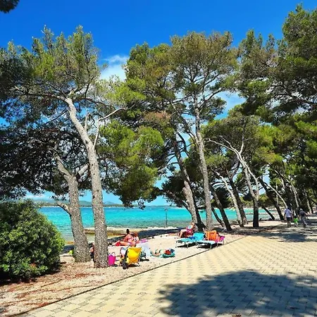 Apartman Elena *